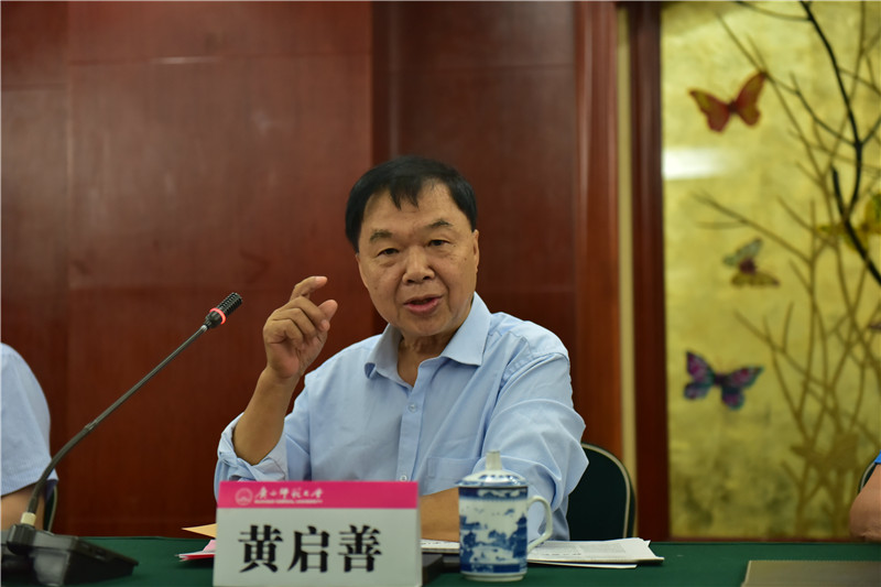 廣西壯族自治區博物館原館長(cháng)、研究館員黃啟善發(fā)言（郭倩 攝）.JPG